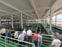 尊龙凯时 - 人生就是搏!